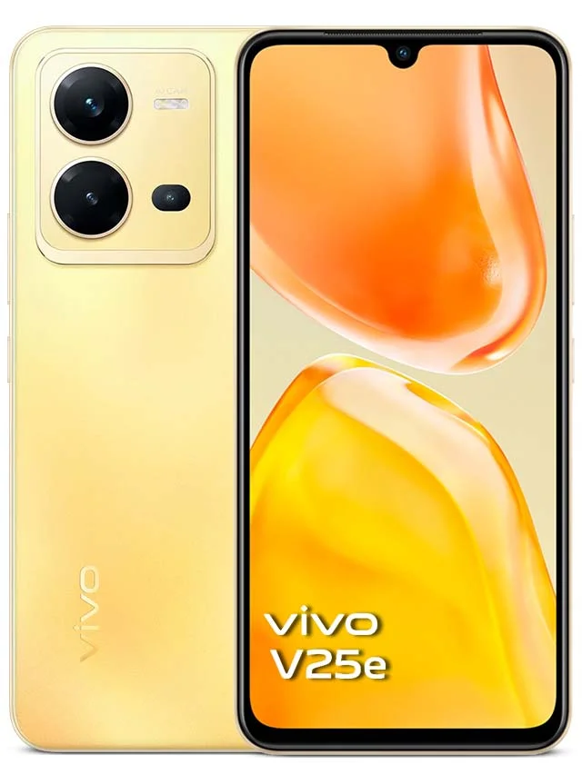 Vivo V25e